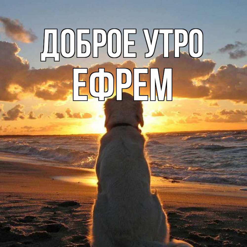 Открытка на каждый день с именем, Ефрем Доброе утро восход солнца Прикольная открытка с пожеланием онлайн скачать бесплатно 