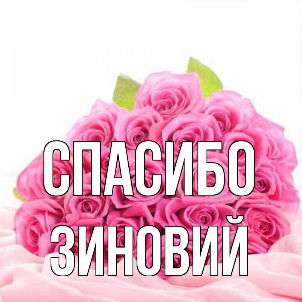 Открытка на каждый день с именем, Зиновий Спасибо розовые розы с подписью Прикольная открытка с пожеланием онлайн скачать бесплатно 