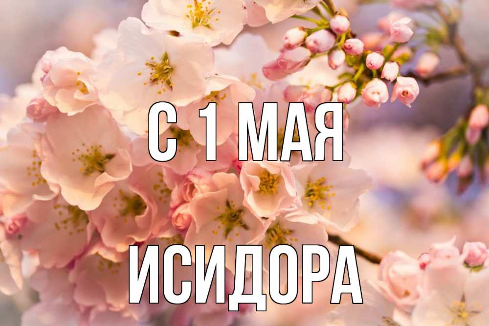 Открытка на каждый день с именем, Исидора С 1 мая С 1 мая Прикольная открытка с пожеланием онлайн скачать бесплатно 