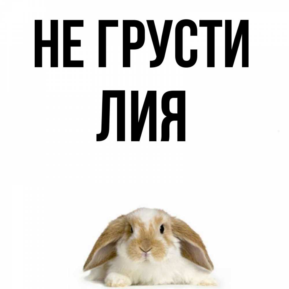 Открытка на каждый день с именем, Лия Не грусти коричнево белый заяц с большими ушками Прикольная открытка с пожеланием онлайн скачать бесплатно 