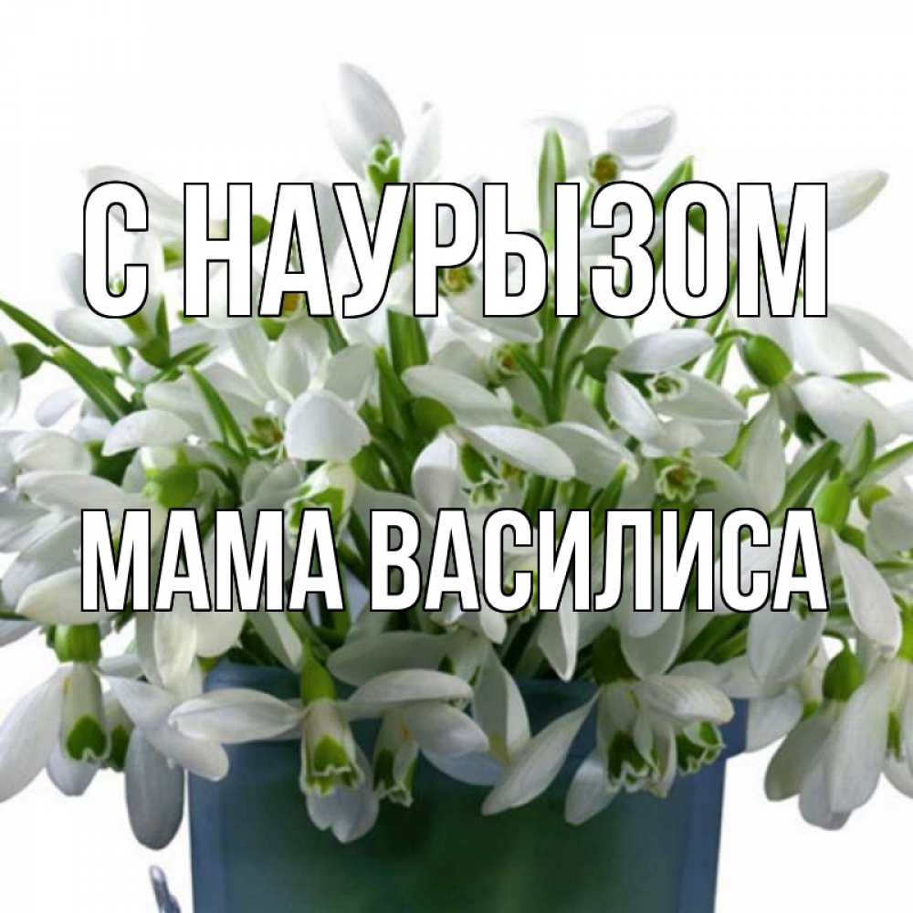 Открытка на каждый день с именем, Мама-Василиса С наурызом цветы к наурызу новый год в Казахстане Прикольная открытка с пожеланием онлайн скачать бесплатно 