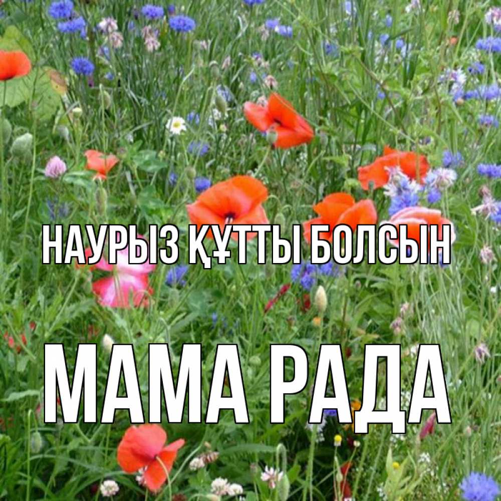 Открытка на каждый день с именем, Мама-Рада Наурыз құтты болсын наурыз  4 Прикольная открытка с пожеланием онлайн скачать бесплатно 