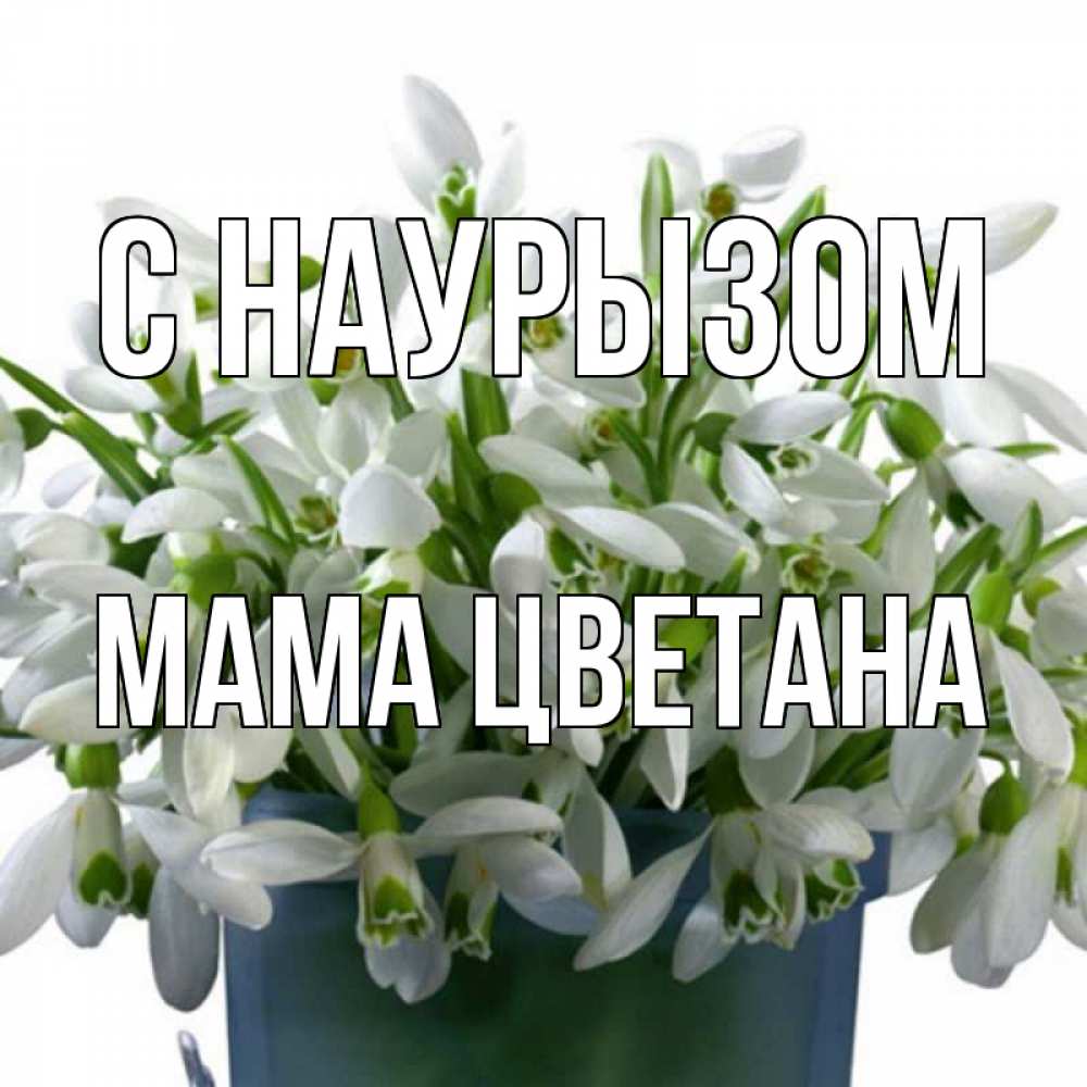 Открытка на каждый день с именем, Мама-Цветана С наурызом цветы к наурызу новый год в Казахстане Прикольная открытка с пожеланием онлайн скачать бесплатно 