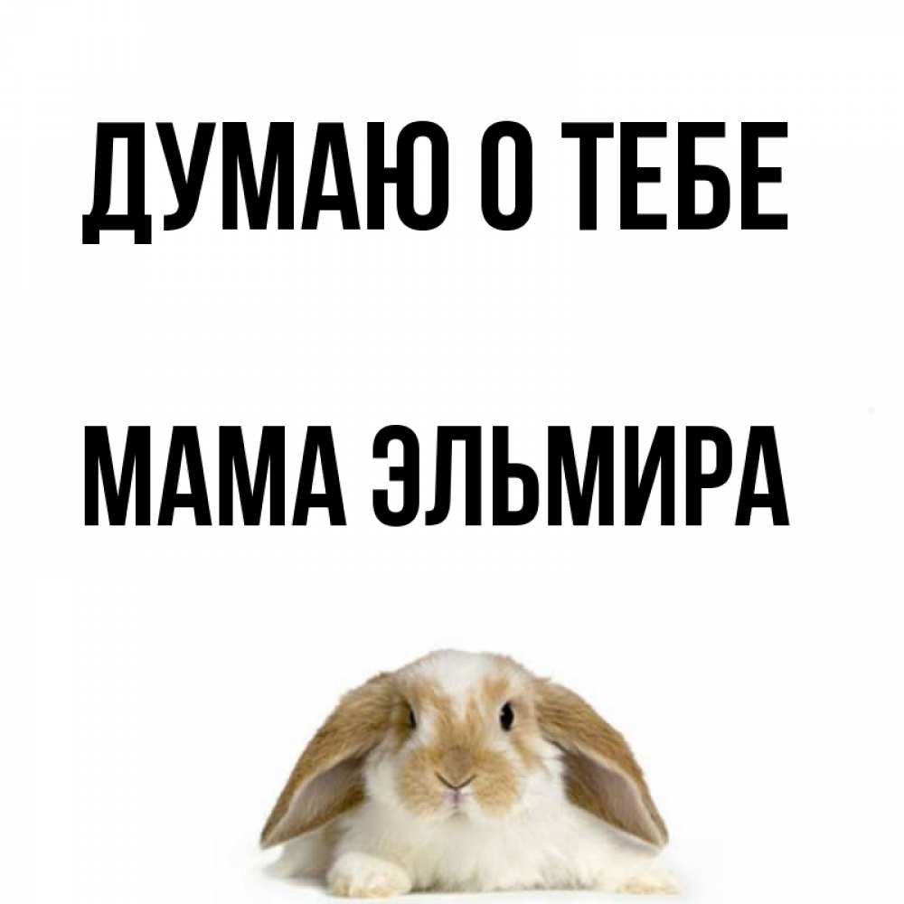 Открытка на каждый день с именем, Мама-Эльмира Думаю о тебе подписать своими руками онлайн Прикольная открытка с пожеланием онлайн скачать бесплатно 