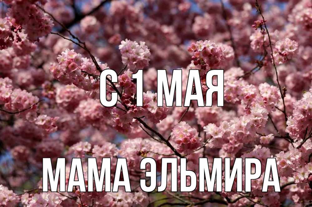 Открытка на каждый день с именем, Мама-Эльмира С 1 мая С 1 мая Прикольная открытка с пожеланием онлайн скачать бесплатно 
