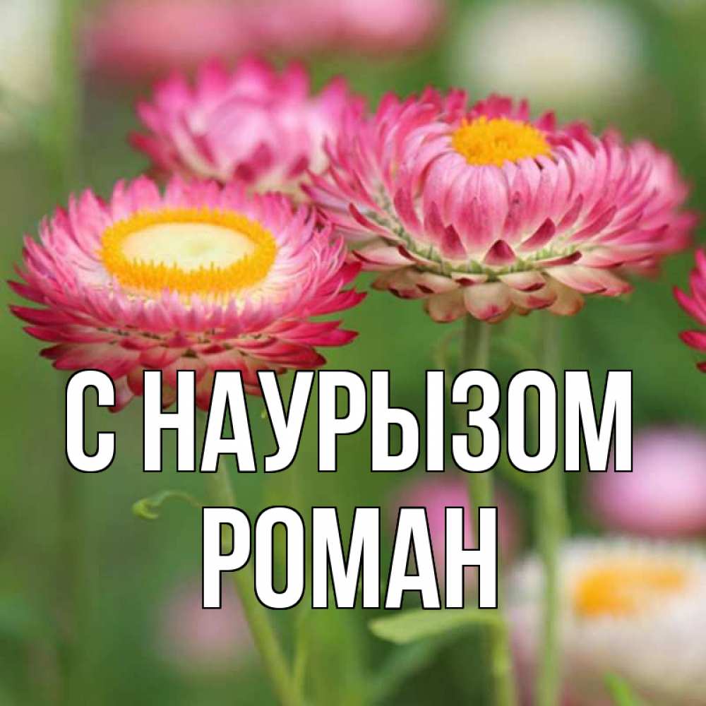Открытка на каждый день с именем, Роман С наурызом подарок на международный женский день Прикольная открытка с пожеланием онлайн скачать бесплатно 