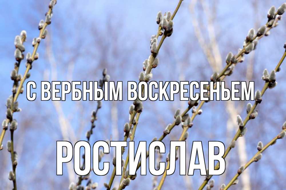 Открытка на каждый день с именем, Ростислав С вербным воскресеньем верба Прикольная открытка с пожеланием онлайн скачать бесплатно 