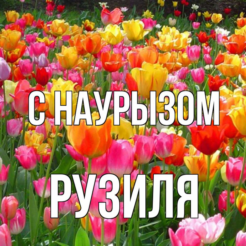 Открытка на каждый день с именем, Рузиля С наурызом праздник весны наурыз 4 Прикольная открытка с пожеланием онлайн скачать бесплатно 