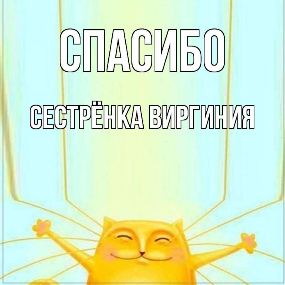 Открытка на каждый день с именем, Сестрёнка-Виргиния Спасибо кот с усами благодарит Прикольная открытка с пожеланием онлайн скачать бесплатно 