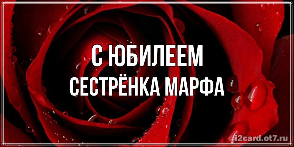 Открытка на каждый день с именем, Сестрёнка-Марфа С юбилеем крупная бордовая роза Прикольная открытка с пожеланием онлайн скачать бесплатно 