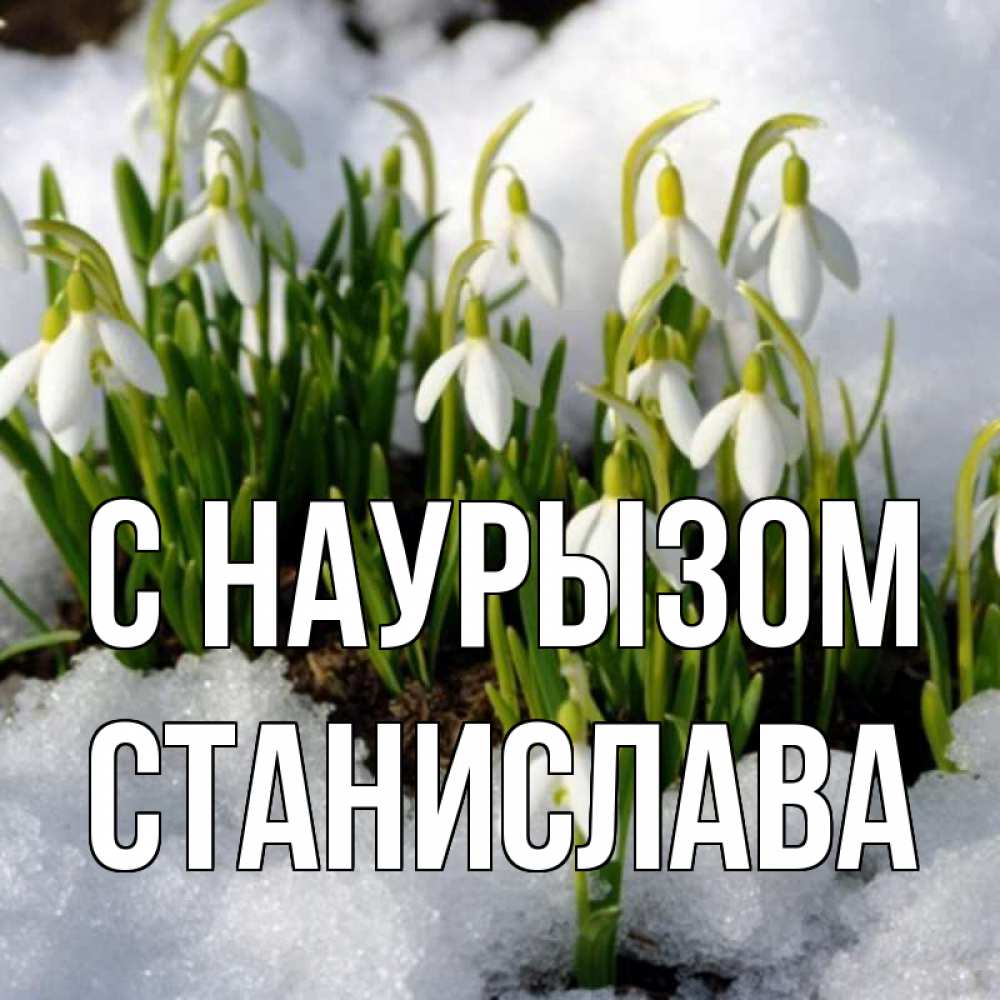 Открытка на каждый день с именем, Станислава С наурызом цветы весенние Прикольная открытка с пожеланием онлайн скачать бесплатно 