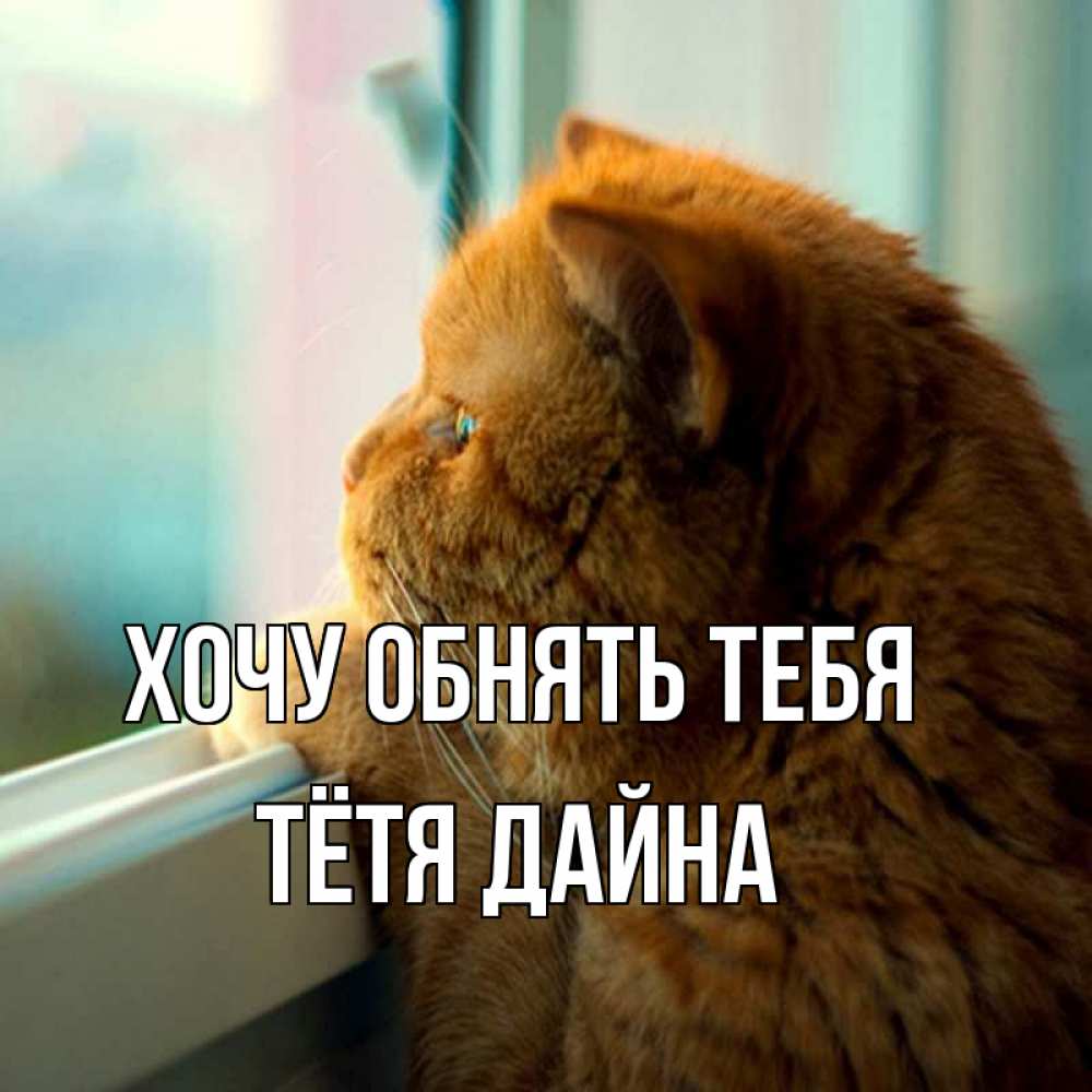 Открытка на каждый день с именем, Тётя-Дайна Хочу обнять тебя большой огромный рыжий котяра Прикольная открытка с пожеланием онлайн скачать бесплатно 