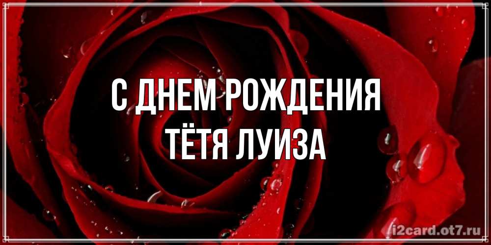 Открытка на каждый день с именем, Тётя-Луиза С днем рождения крупная бордовая роза Прикольная открытка с пожеланием онлайн скачать бесплатно 