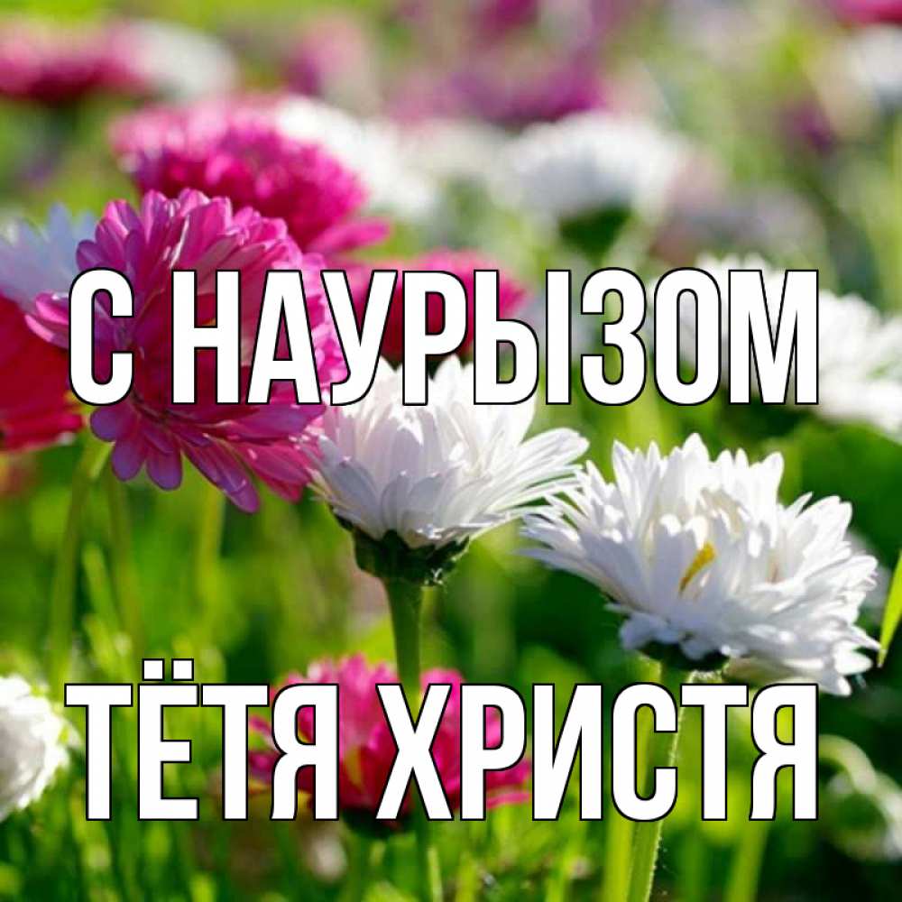 Открытка на каждый день с именем, Тётя-Христя С наурызом праздник весны наурыз красота Прикольная открытка с пожеланием онлайн скачать бесплатно 