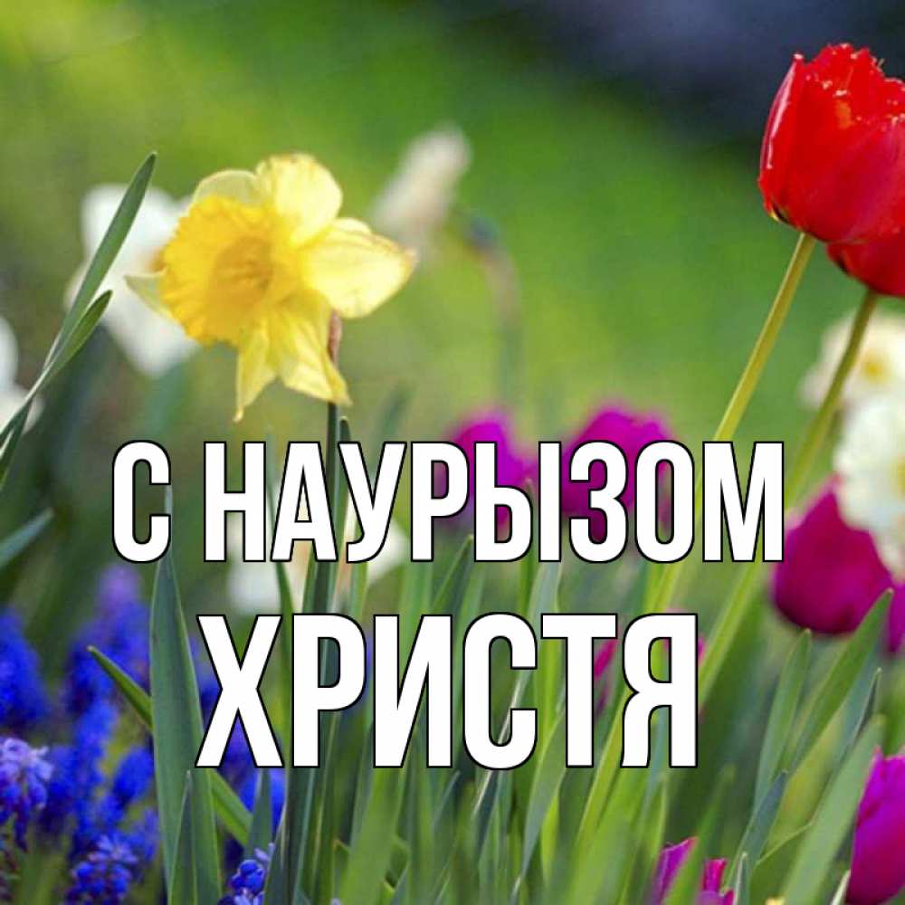 Открытка на каждый день с именем, Христя С наурызом праздник весны наурыз 3 Прикольная открытка с пожеланием онлайн скачать бесплатно 