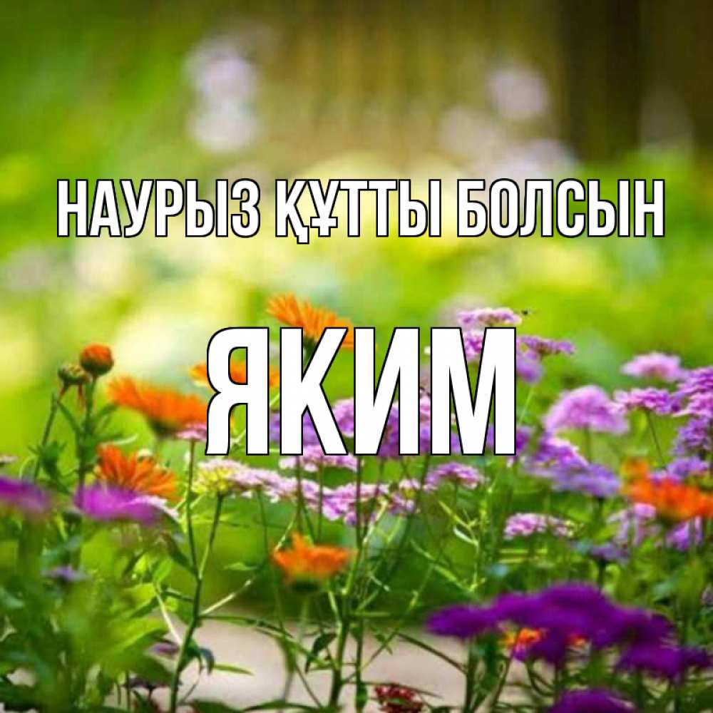 Открытка на каждый день с именем, Яким Наурыз құтты болсын цветы Прикольная открытка с пожеланием онлайн скачать бесплатно 