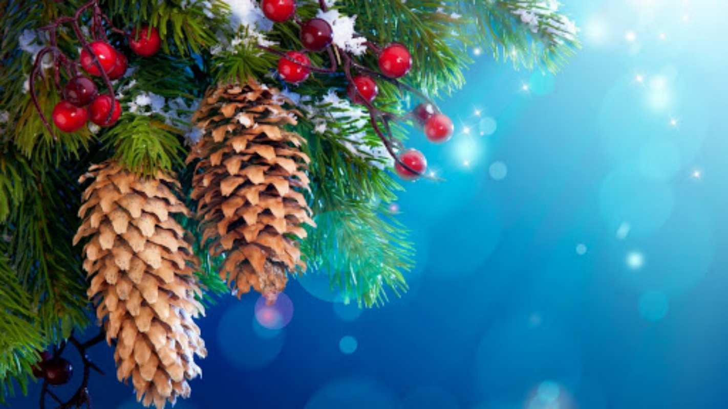 Открытка Елка и шишки с рябиной  Новый год, ель, шишки  С новым годом 