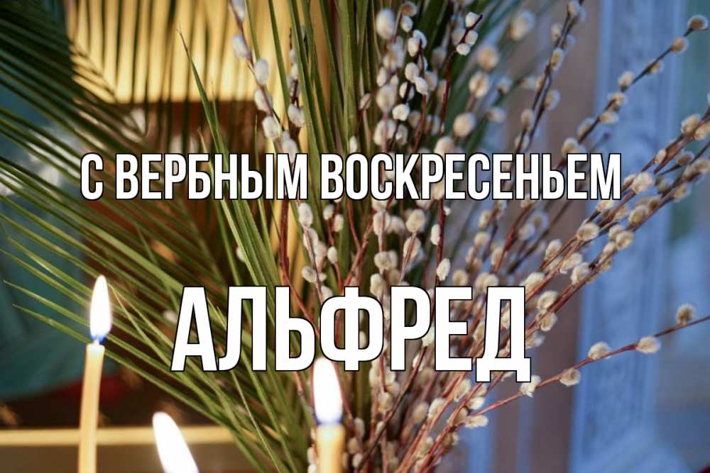 Открытка на каждый день с именем, Альфред С вербным воскресеньем верба Прикольная открытка с пожеланием онлайн скачать бесплатно 