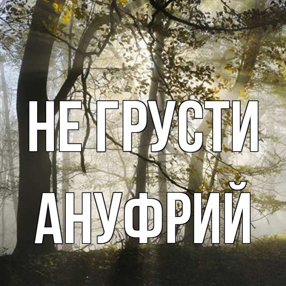 Открытка на каждый день с именем, Ануфрий Не грусти лес и свет Прикольная открытка с пожеланием онлайн скачать бесплатно 