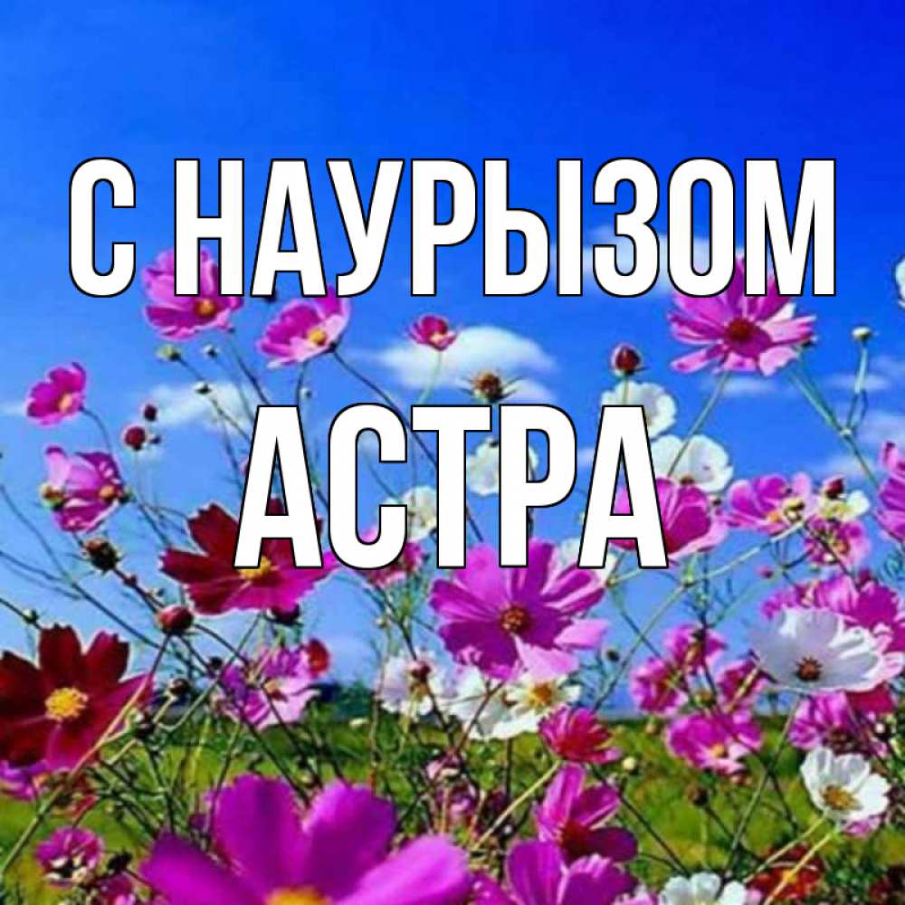 Открытка на каждый день с именем, Астра С наурызом цветы Прикольная открытка с пожеланием онлайн скачать бесплатно 