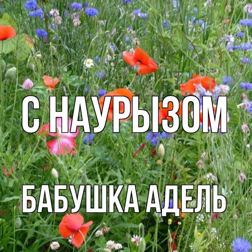 Открытка на каждый день с именем, Бабушка-Адель С наурызом праздник весны наурыз супер открытка Прикольная открытка с пожеланием онлайн скачать бесплатно 
