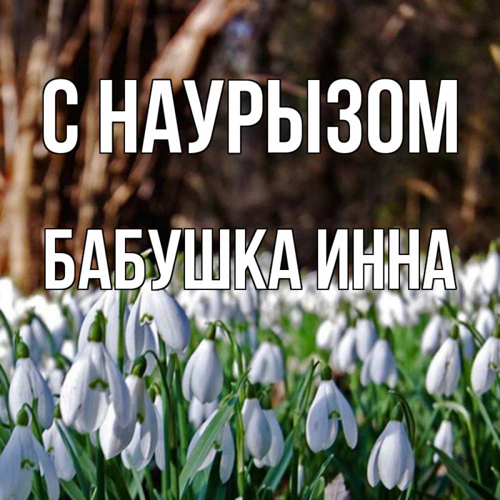 Открытка на каждый день с именем, Бабушка-Инна С наурызом с подснежниками 1 Прикольная открытка с пожеланием онлайн скачать бесплатно 