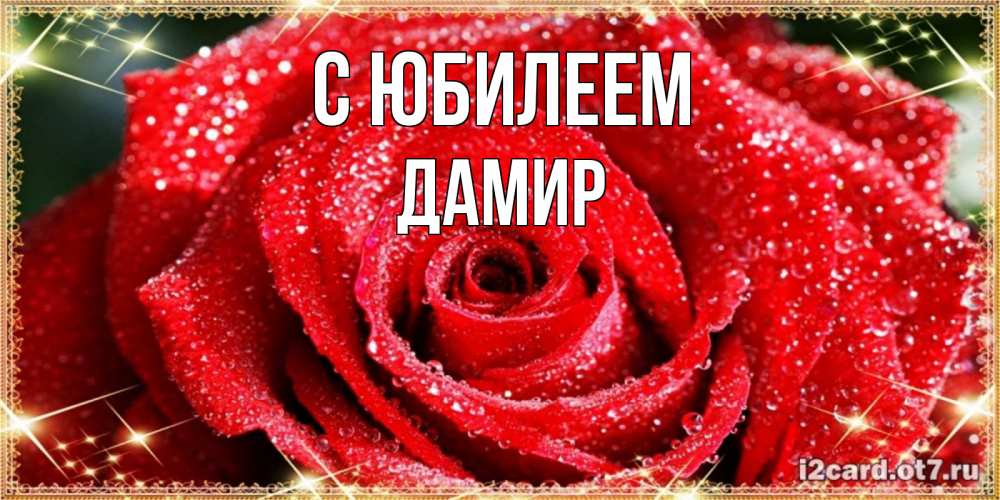 Открытка на каждый день с именем, Дамир С юбилеем роса и роза. открытка с красивой розой Прикольная открытка с пожеланием онлайн скачать бесплатно 