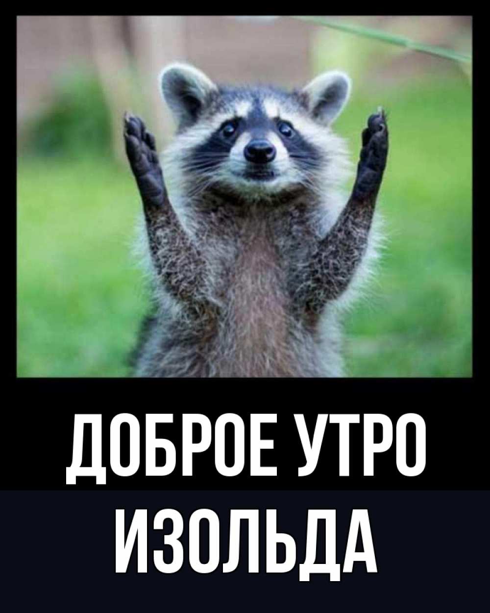 Открытка на каждый день с именем, Изольда Доброе утро хорошее настроение утречком Прикольная открытка с пожеланием онлайн скачать бесплатно 