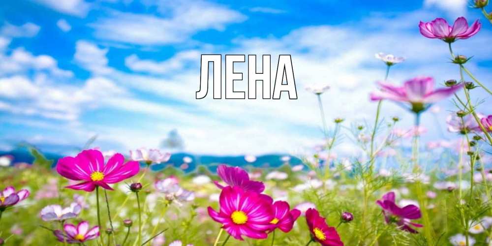 Открытка на каждый день с именем, Лена Главная поле цветов Прикольная открытка с пожеланием онлайн скачать бесплатно 