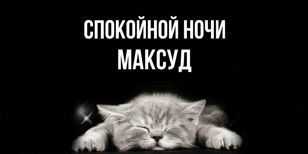 Открытка на каждый день с именем, Максуд Спокойной ночи спящий котик Прикольная открытка с пожеланием онлайн скачать бесплатно 