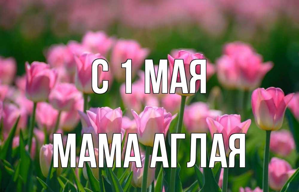 Открытка на каждый день с именем, Мама-Аглая С 1 мая С 1 мая Прикольная открытка с пожеланием онлайн скачать бесплатно 