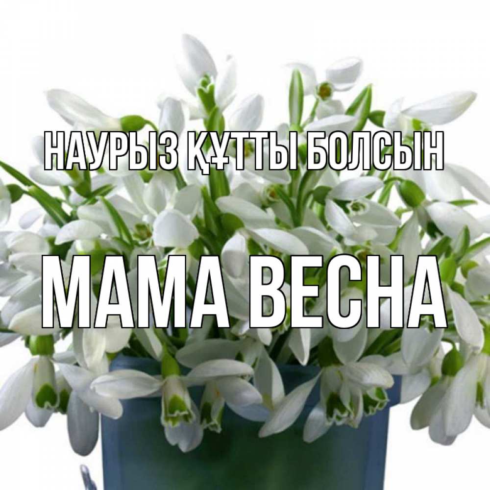 Открытка на каждый день с именем, Мама-Весна Наурыз құтты болсын цветы к наурызу Прикольная открытка с пожеланием онлайн скачать бесплатно 