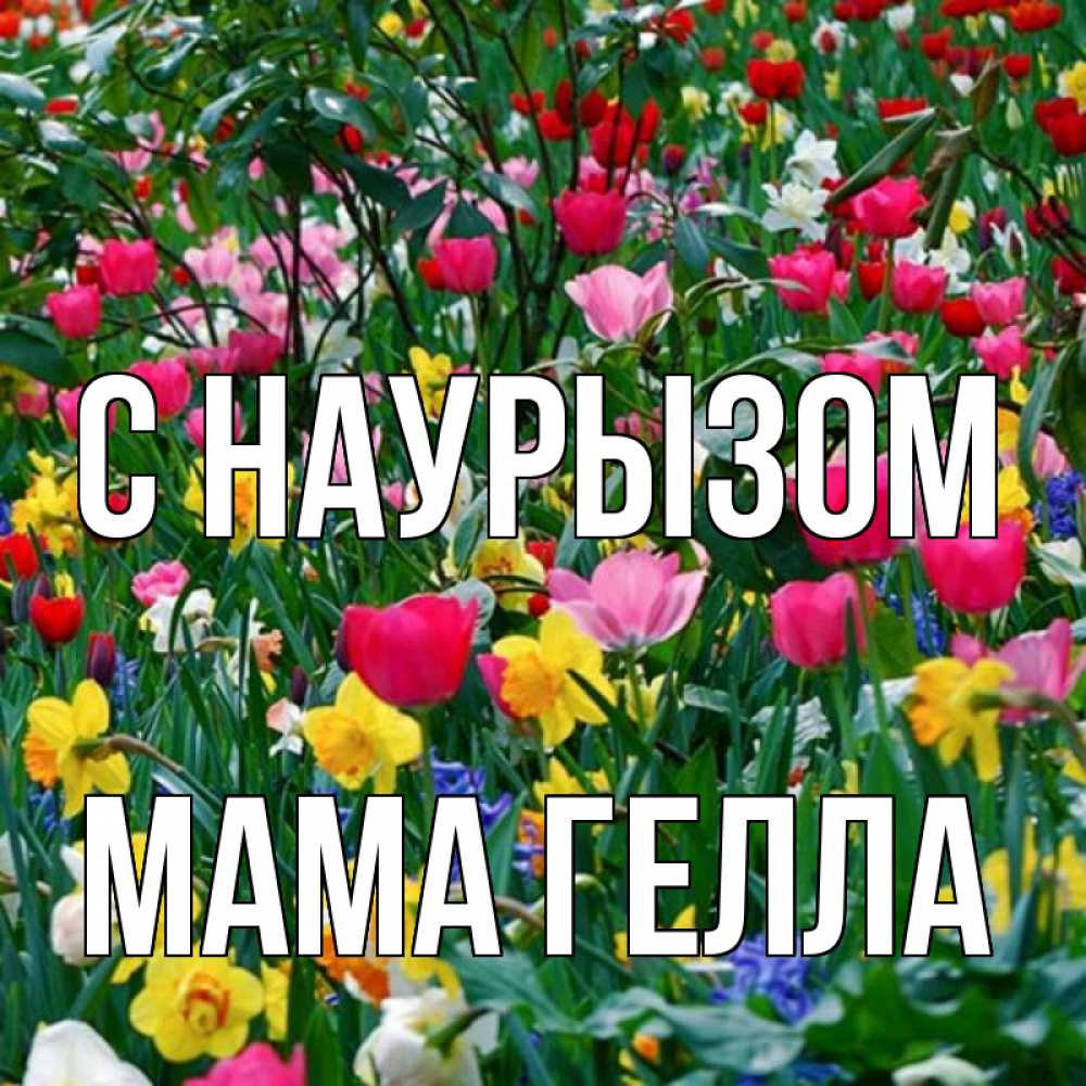 Открытка на каждый день с именем, Мама-Гелла С наурызом с наурызом праздником весны поздравления для женщины Прикольная открытка с пожеланием онлайн скачать бесплатно 