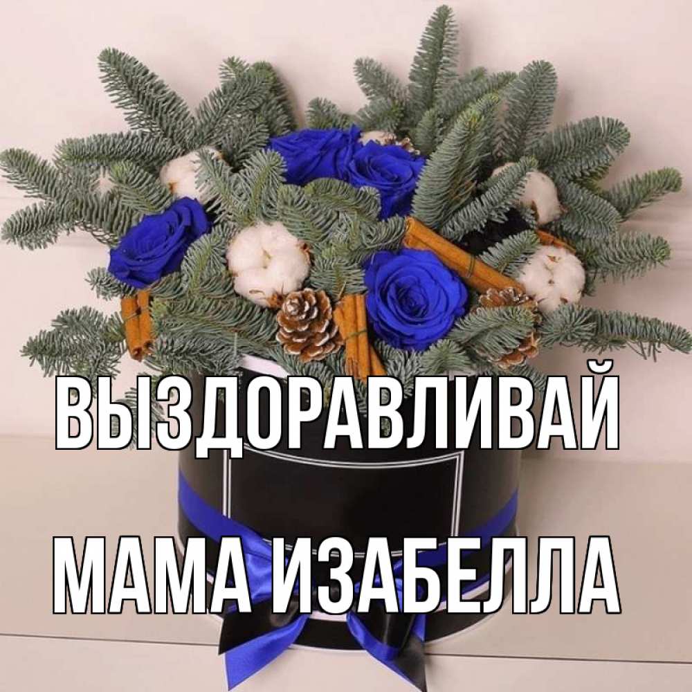 Открытка на каждый день с именем, Мама-Изабелла Выздоравливай короче кто то загрузил эти шишки Прикольная открытка с пожеланием онлайн скачать бесплатно 