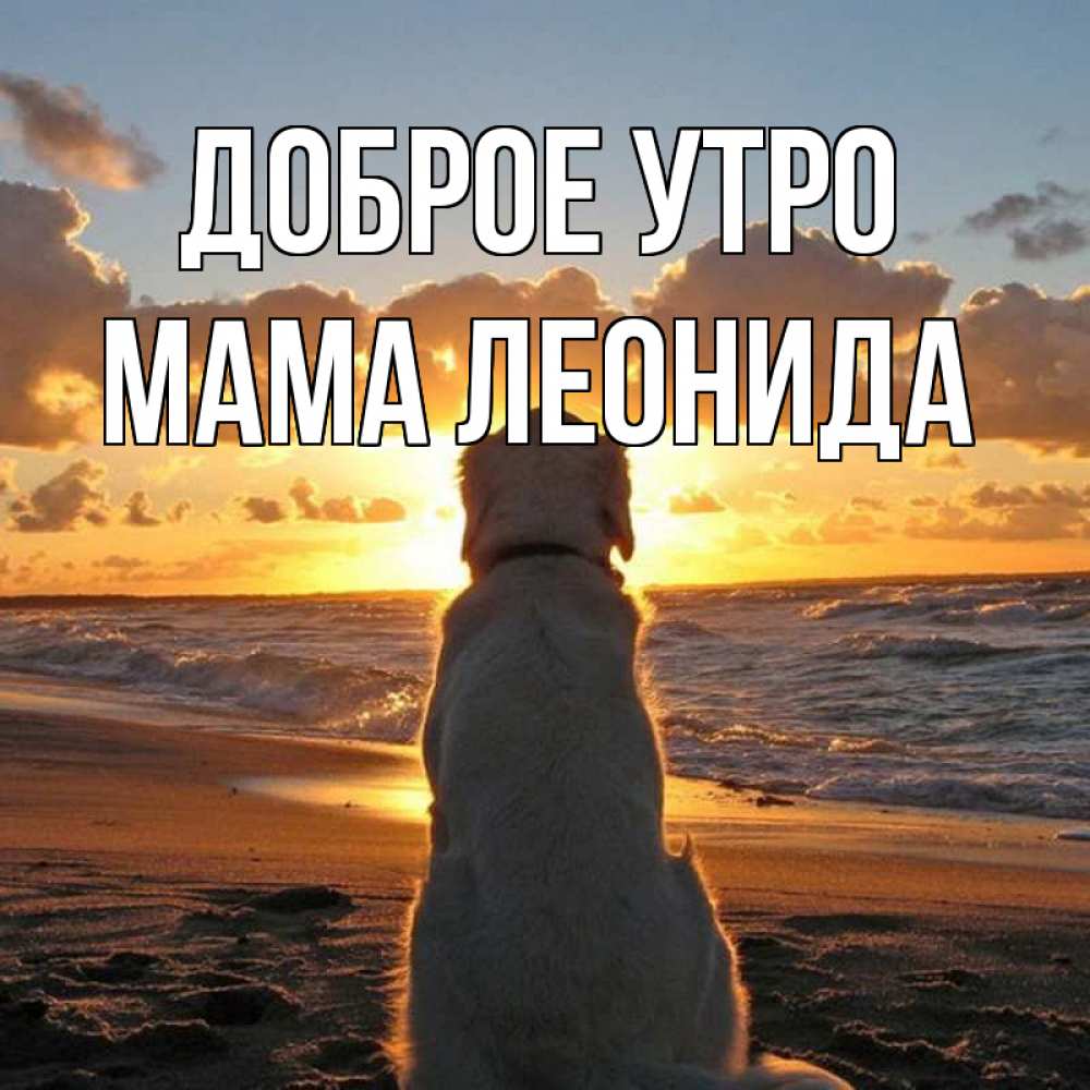 Открытка на каждый день с именем, Мама-Леонида Доброе утро восход солнца Прикольная открытка с пожеланием онлайн скачать бесплатно 