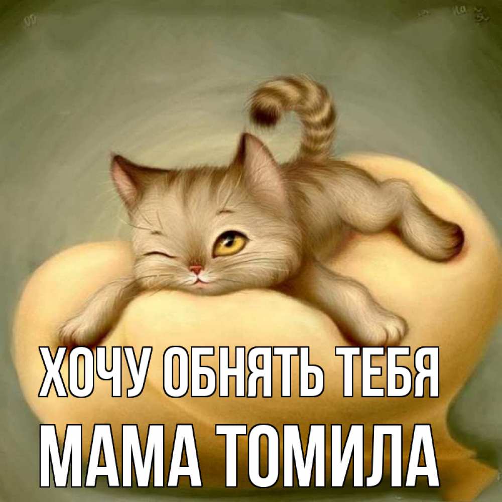 Открытка на каждый день с именем, Мама-Томила Хочу обнять тебя кошечка Прикольная открытка с пожеланием онлайн скачать бесплатно 