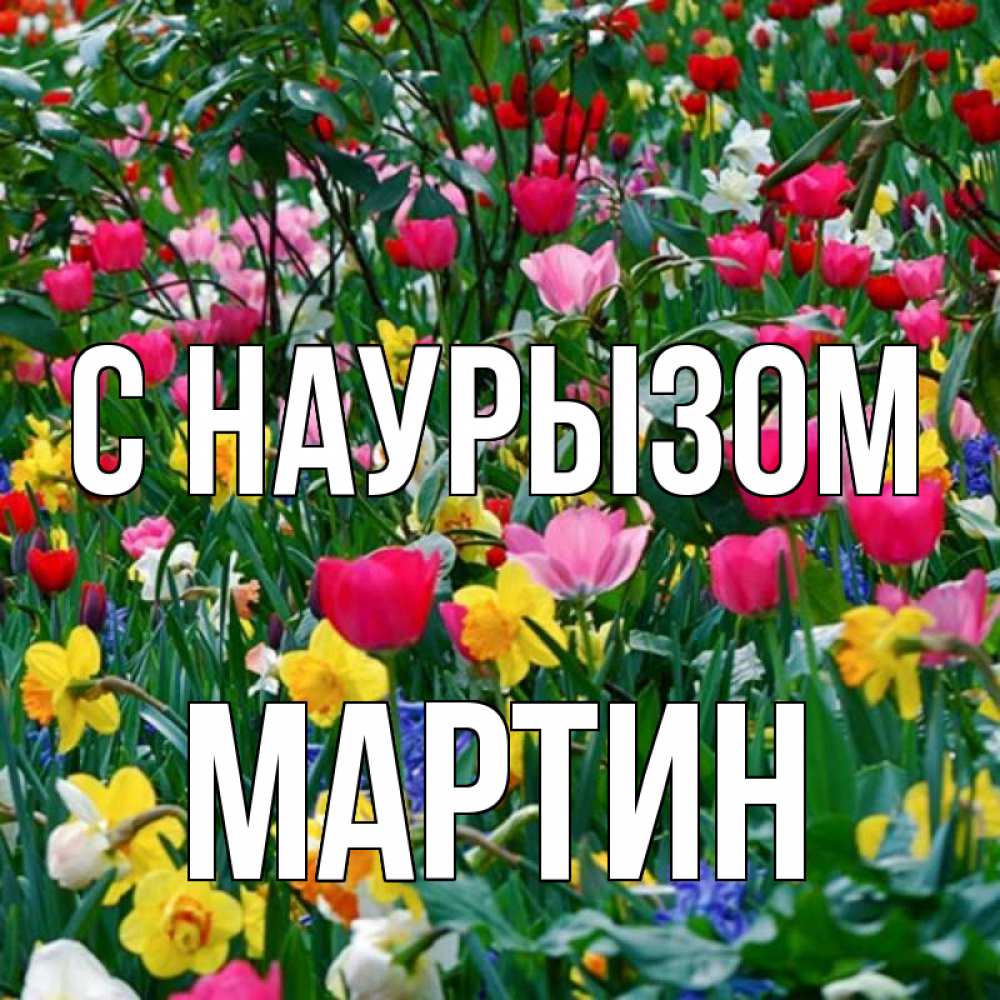Открытка на каждый день с именем, Мартин С наурызом с наурызом праздником весны поздравления для женщины Прикольная открытка с пожеланием онлайн скачать бесплатно 
