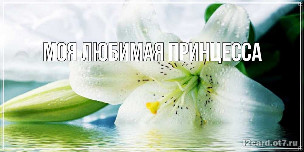 Открытка на каждый день с именем, Моя-Любимая-Принцесса Главная лилия на открытке ко дню рождения Прикольная открытка с пожеланием онлайн скачать бесплатно 