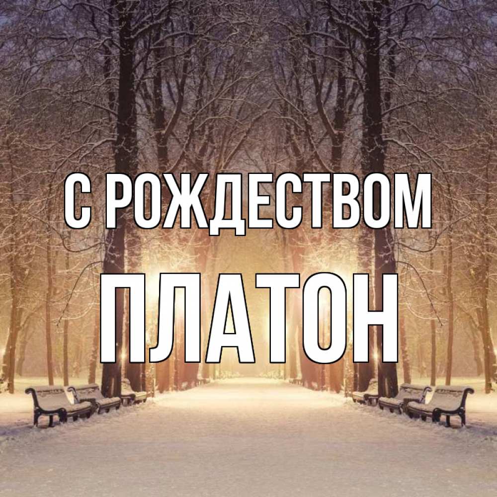 Открытка на каждый день с именем, Платон С рождеством зима, парк, фонарь, лес Прикольная открытка с пожеланием онлайн скачать бесплатно 