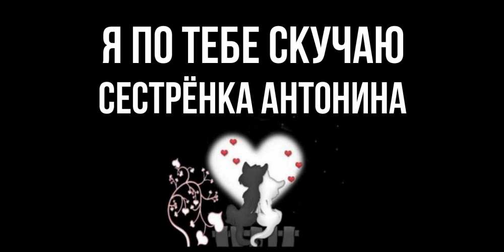 Открытка на каждый день с именем, Сестрёнка-Антонина Я по тебе скучаю коты Прикольная открытка с пожеланием онлайн скачать бесплатно 