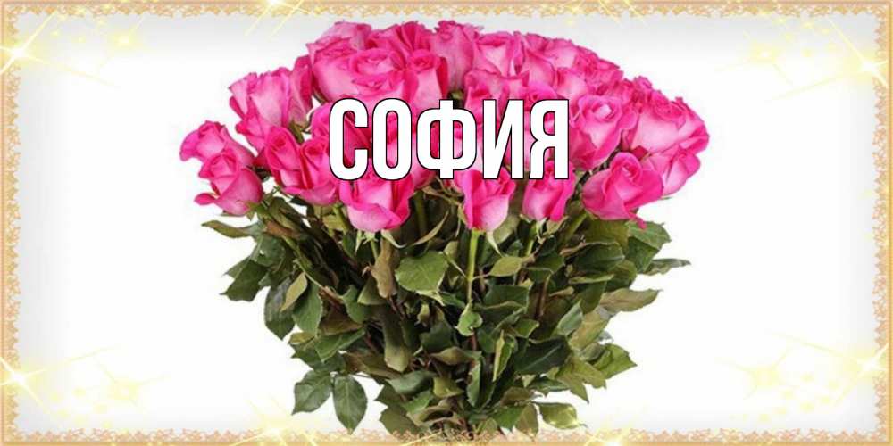 Открытка на каждый день с именем, София Главная красивые открытки в оригинальной обработке на международный женский день Прикольная открытка с пожеланием онлайн скачать бесплатно 
