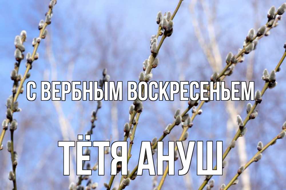 Открытка на каждый день с именем, Тётя-Ануш С вербным воскресеньем верба Прикольная открытка с пожеланием онлайн скачать бесплатно 