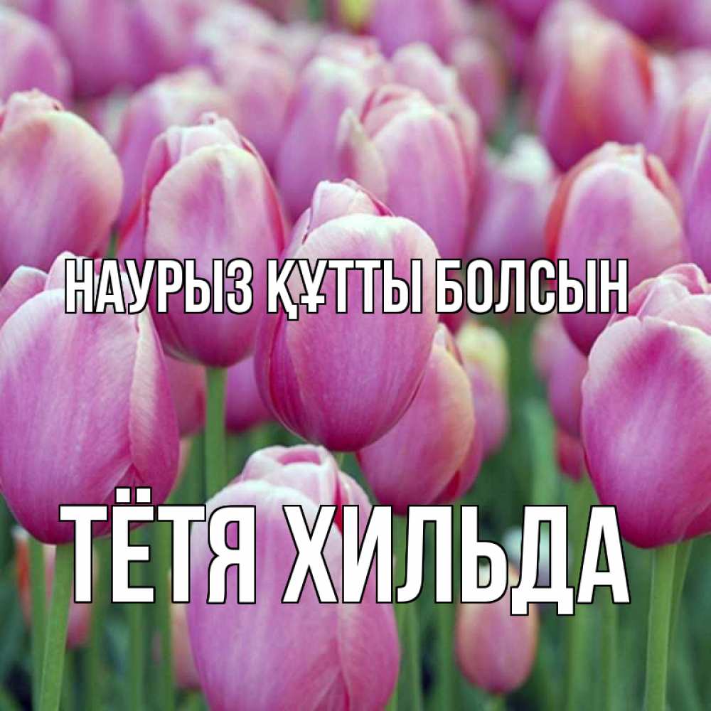 Открытка на каждый день с именем, Тётя-Хильда Наурыз құтты болсын на наурыз  день 3 Прикольная открытка с пожеланием онлайн скачать бесплатно 