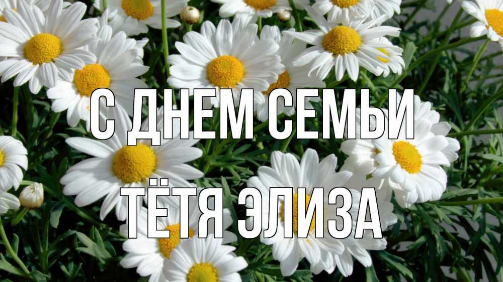 Открытка на каждый день с именем, Тётя-Элиза С днем семьи с днем семьи Прикольная открытка с пожеланием онлайн скачать бесплатно 