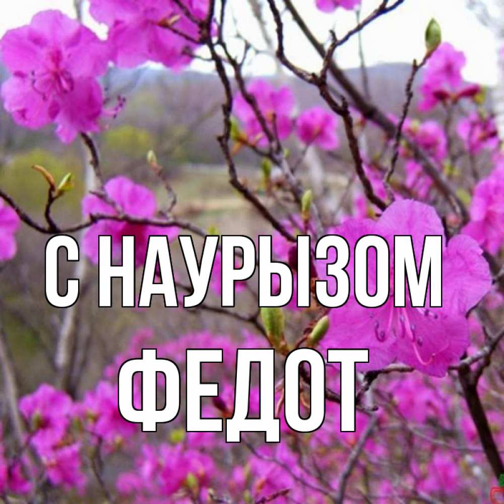 Открытка на каждый день с именем, Федот С наурызом праздник весны наурыз Прикольная открытка с пожеланием онлайн скачать бесплатно 