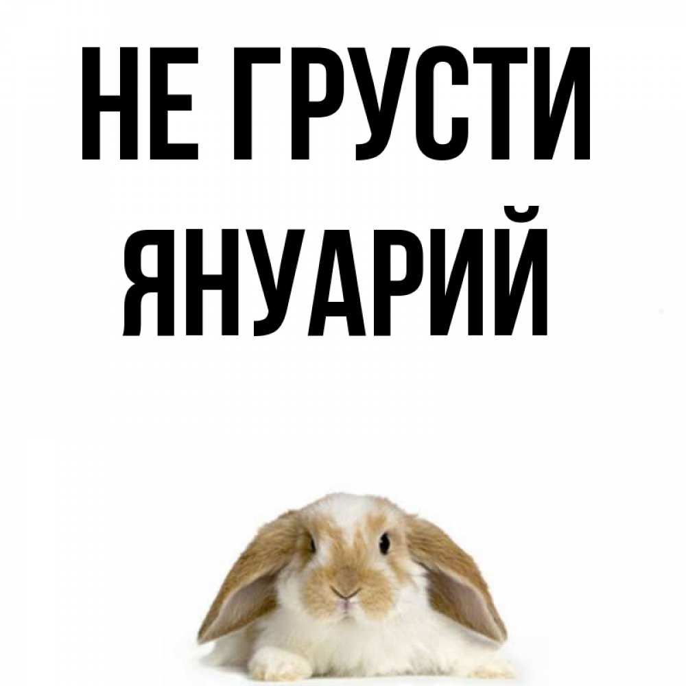 Открытка на каждый день с именем, Януарий Не грусти коричнево белый заяц с большими ушками Прикольная открытка с пожеланием онлайн скачать бесплатно 
