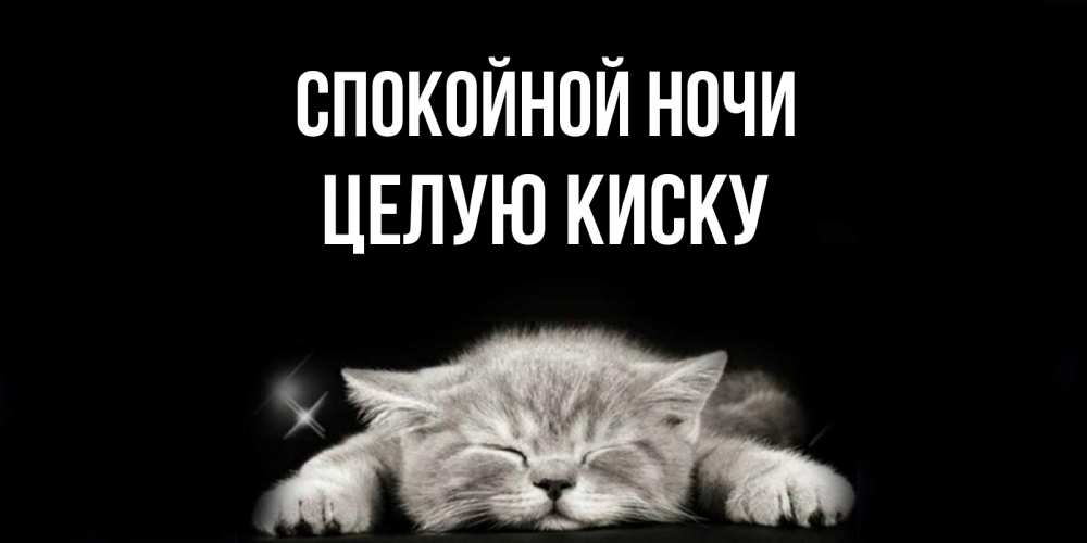 Открытка на каждый день с именем, целую-киску Спокойной ночи спящий котик Прикольная открытка с пожеланием онлайн скачать бесплатно 