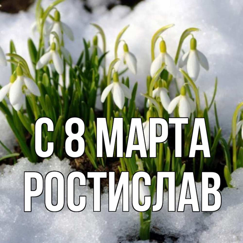 Открытка на каждый день с именем, Ростислав С 8 МАРТА цветы весенние Прикольная открытка с пожеланием онлайн скачать бесплатно 