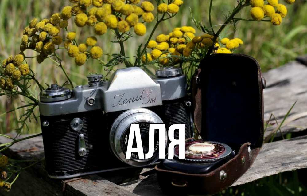 Открытка на каждый день с именем, Аля Главная с днем фотографа Прикольная открытка с пожеланием онлайн скачать бесплатно 