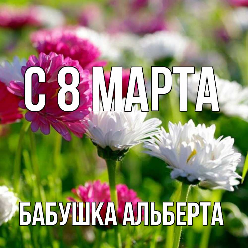 Открытка на каждый день с именем, Бабушка-Альберта С 8 МАРТА международный женский день 1 Прикольная открытка с пожеланием онлайн скачать бесплатно 